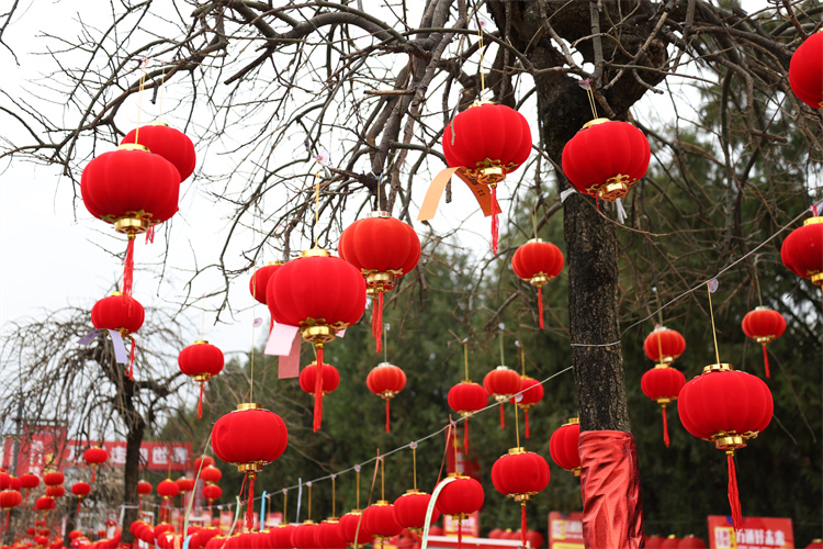 歡歡喜喜鬧元宵 團(tuán)團(tuán)圓圓迎新生 ——西安萬(wàn)通汽車學(xué)校2026年元宵節(jié)活動(dòng)圓滿舉行