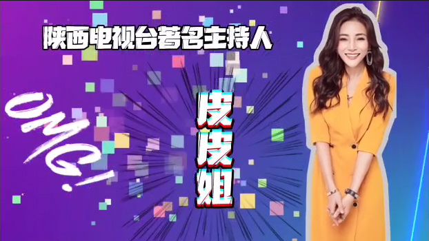 陜西電視臺皮皮姐帶你了解萬通！