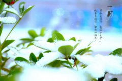西安萬通，陪你一起經(jīng)歷這四季輪回