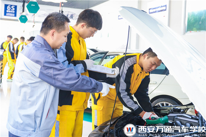 愛車遇到小毛病，萬姐給你支支招！