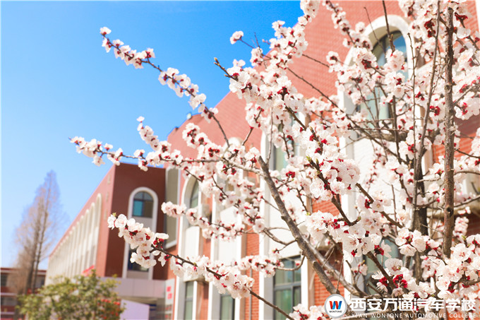 春暖花開，西安萬通與你有一場(chǎng)“邂逅”！