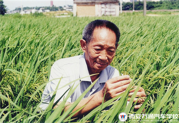 【職素教育】西安萬通國旗下的約定：珍惜糧食，杜絕浪費(fèi)